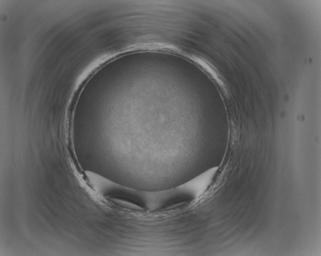 X0000084531046200703091623