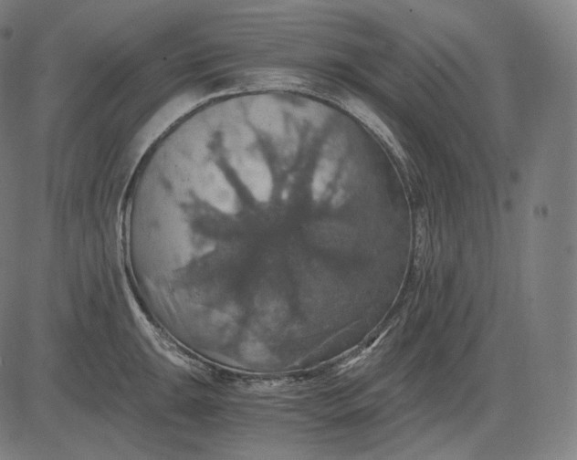 X0000084531047200703091623