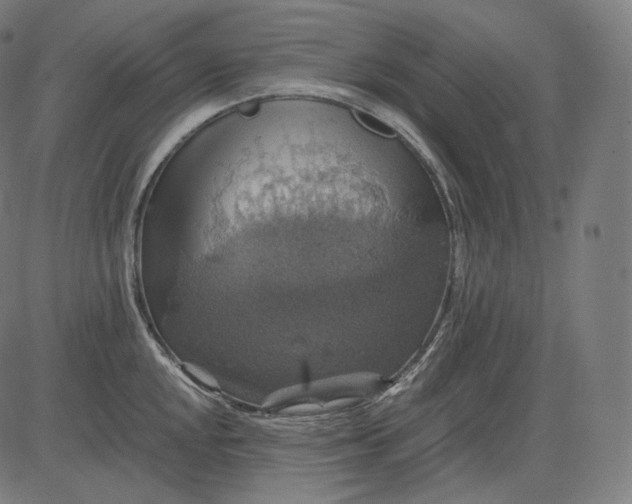 X0000084531048200703091623