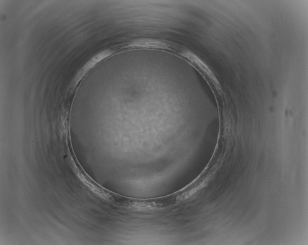 X0000084531049200703091623