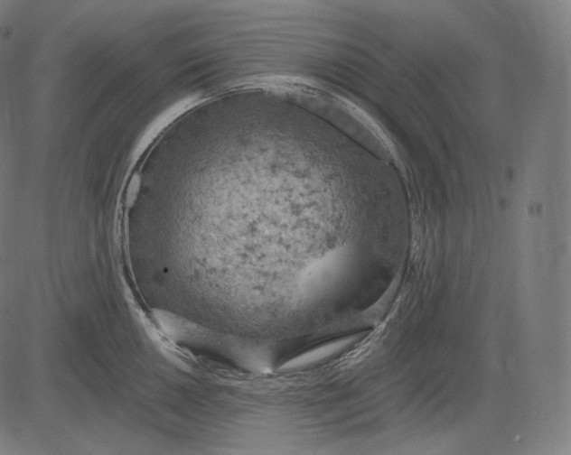 X0000084531050200703091623