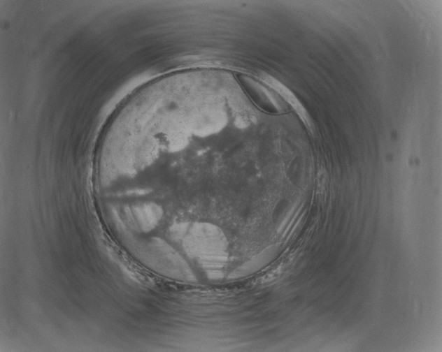 X0000084531051200703091623