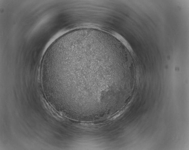 X0000084531052200703091623