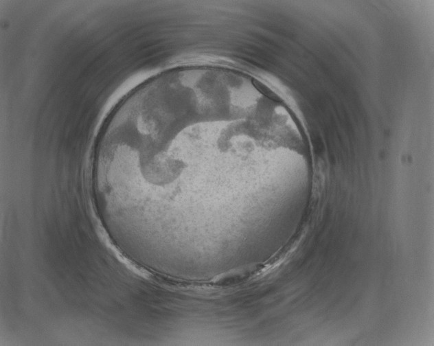 X0000084531053200703091623