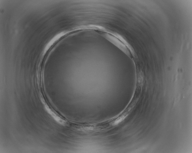 X0000084531054200703091623