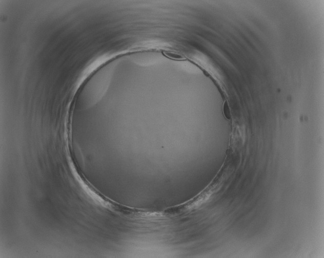 X0000084531055200703091623