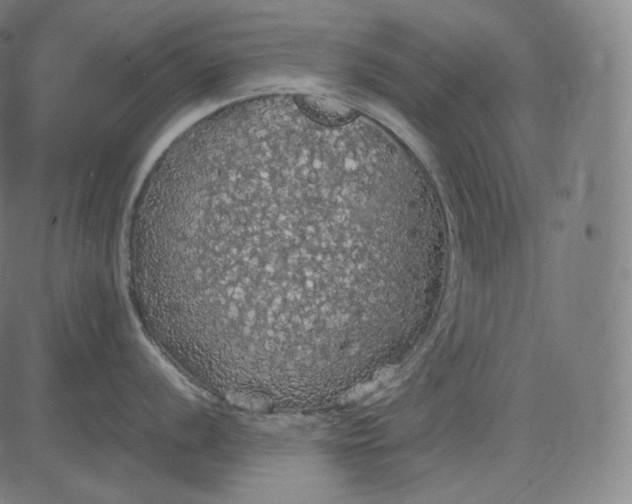 X0000084531056200703091623