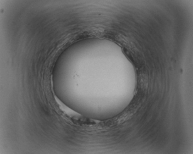 X0000084531057200703091622