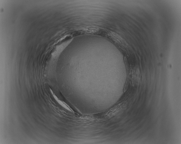 X0000084531058200703091622