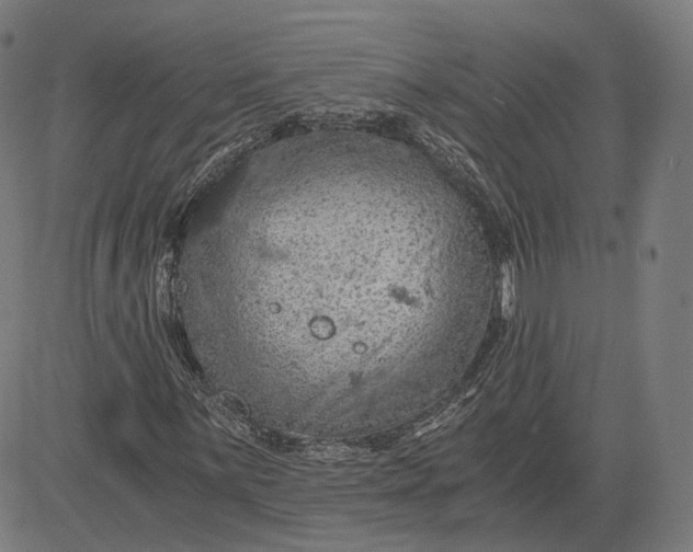 X0000084531059200703091622