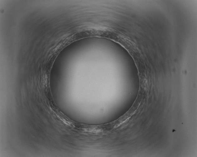 X0000084531061200703091622