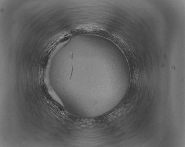 X0000084531062200703091622