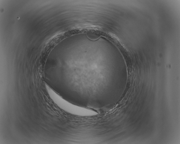 X0000084531063200703091622