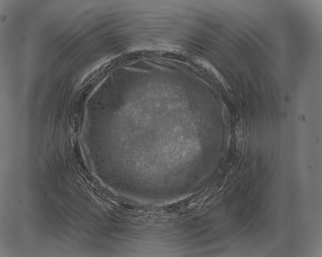 X0000084531064200703091622