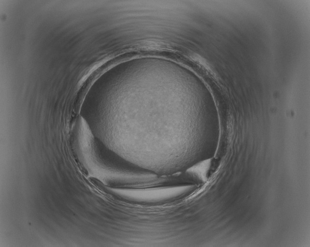 X0000084531065200703091622