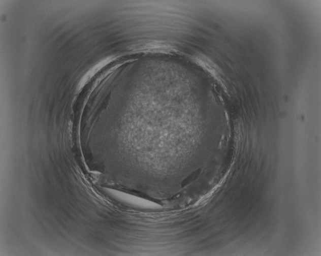 X0000084531066200703091622