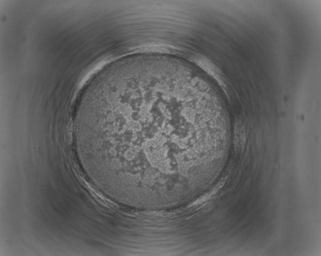 X0000084531067200703091622