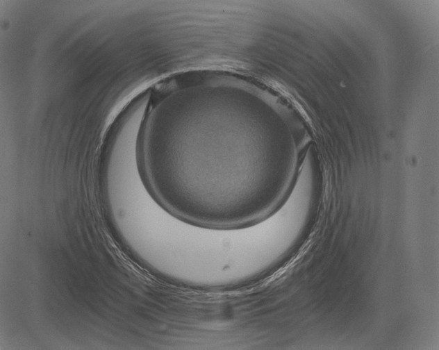 X0000084531069200703091622