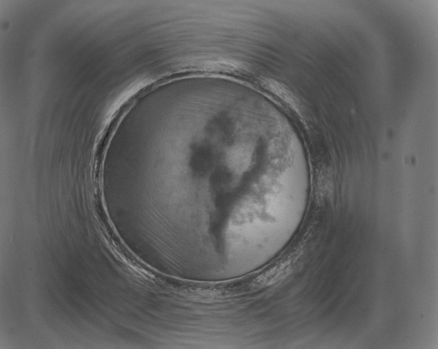 X0000084531071200703091622