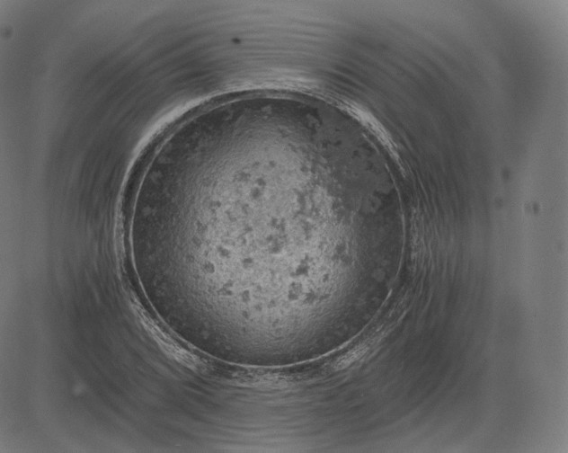 X0000084531072200703091622