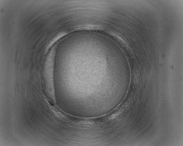 X0000084531073200703091622