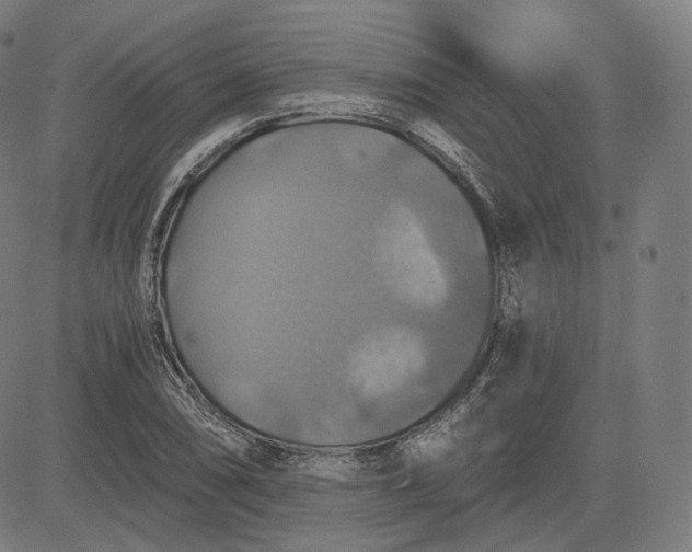 X0000084531074200703091622