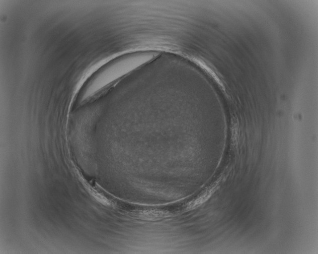 X0000084531077200703091622