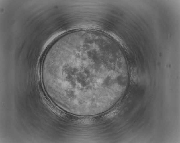 X0000084531078200703091622