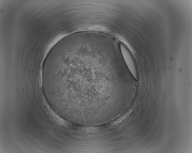 X0000084531079200703091622