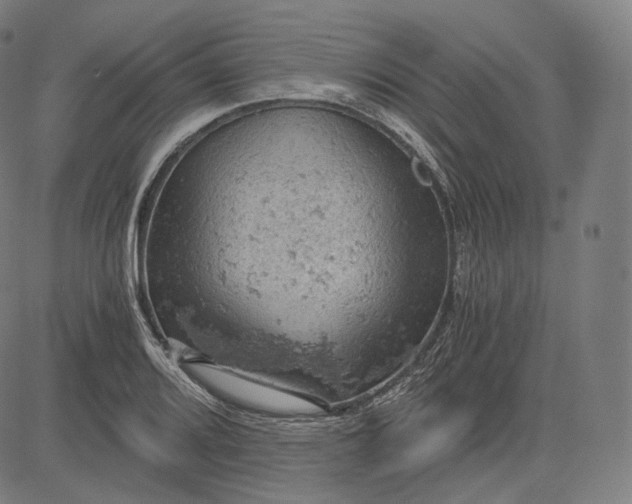 X0000084531080200703091622