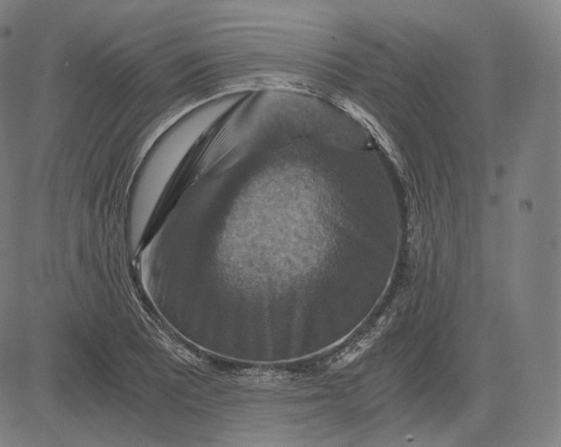 X0000084531081200703091622