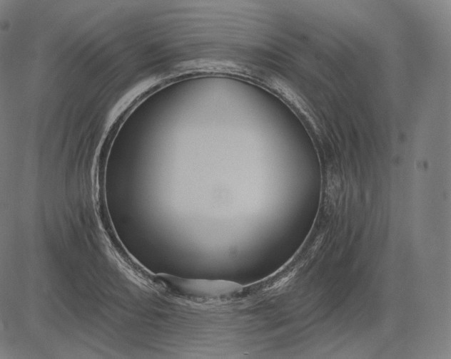 X0000084531082200703091622