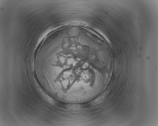 X0000084531083200703091622