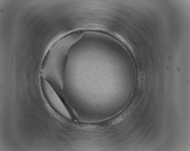 X0000084531085200703091622