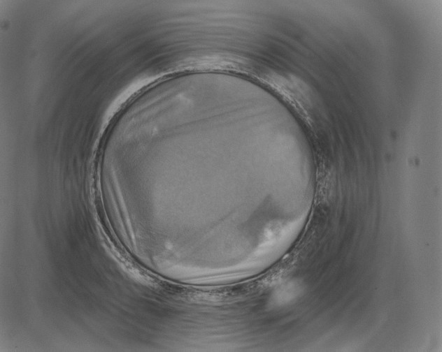 X0000084531086200703091622