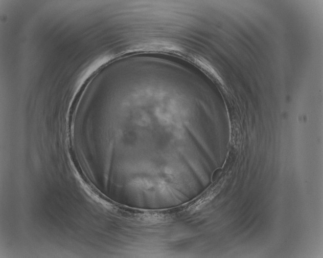 X0000084531087200703091622