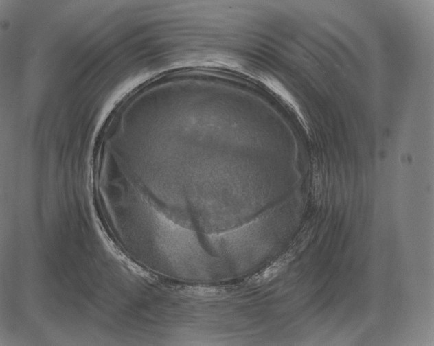 X0000084531088200703091622