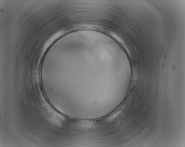 X0000084531090200703091622