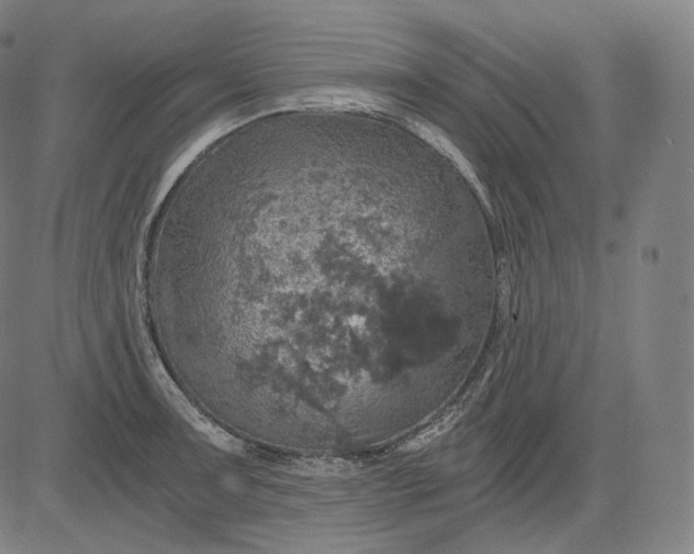 X0000084531091200703091622