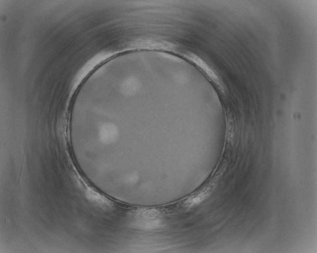 X0000084531094200703091622