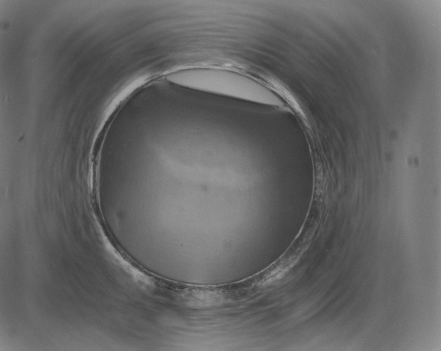 X0000084531095200703091621