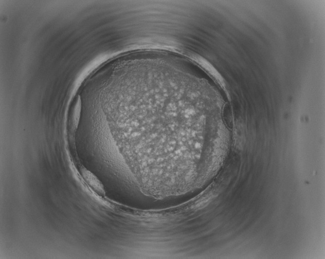 X0000084531096200703091621