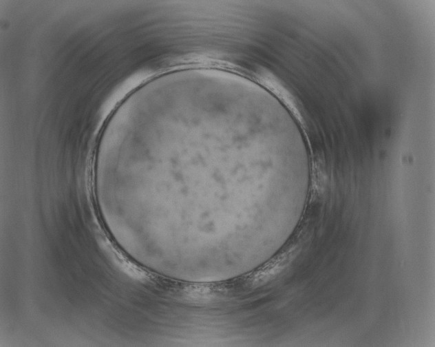 X0000084531098200703091621