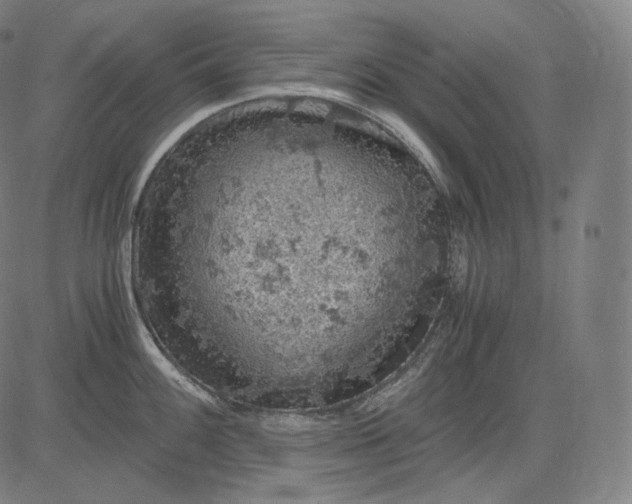 X0000084531100200703091621