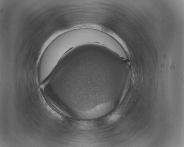 X0000084531102200703091621