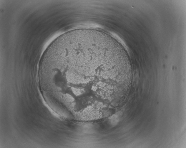 X0000084531103200703091621