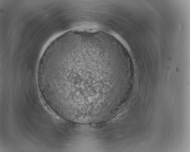 X0000084531104200703091621