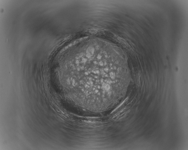 X0000084531105200703091621