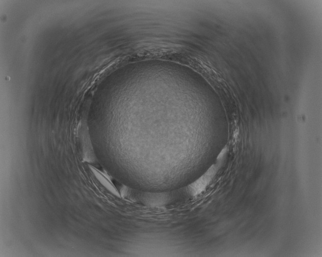 X0000084531109200703091621