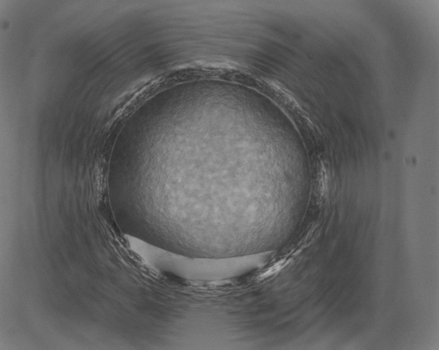 X0000084531110200703091621